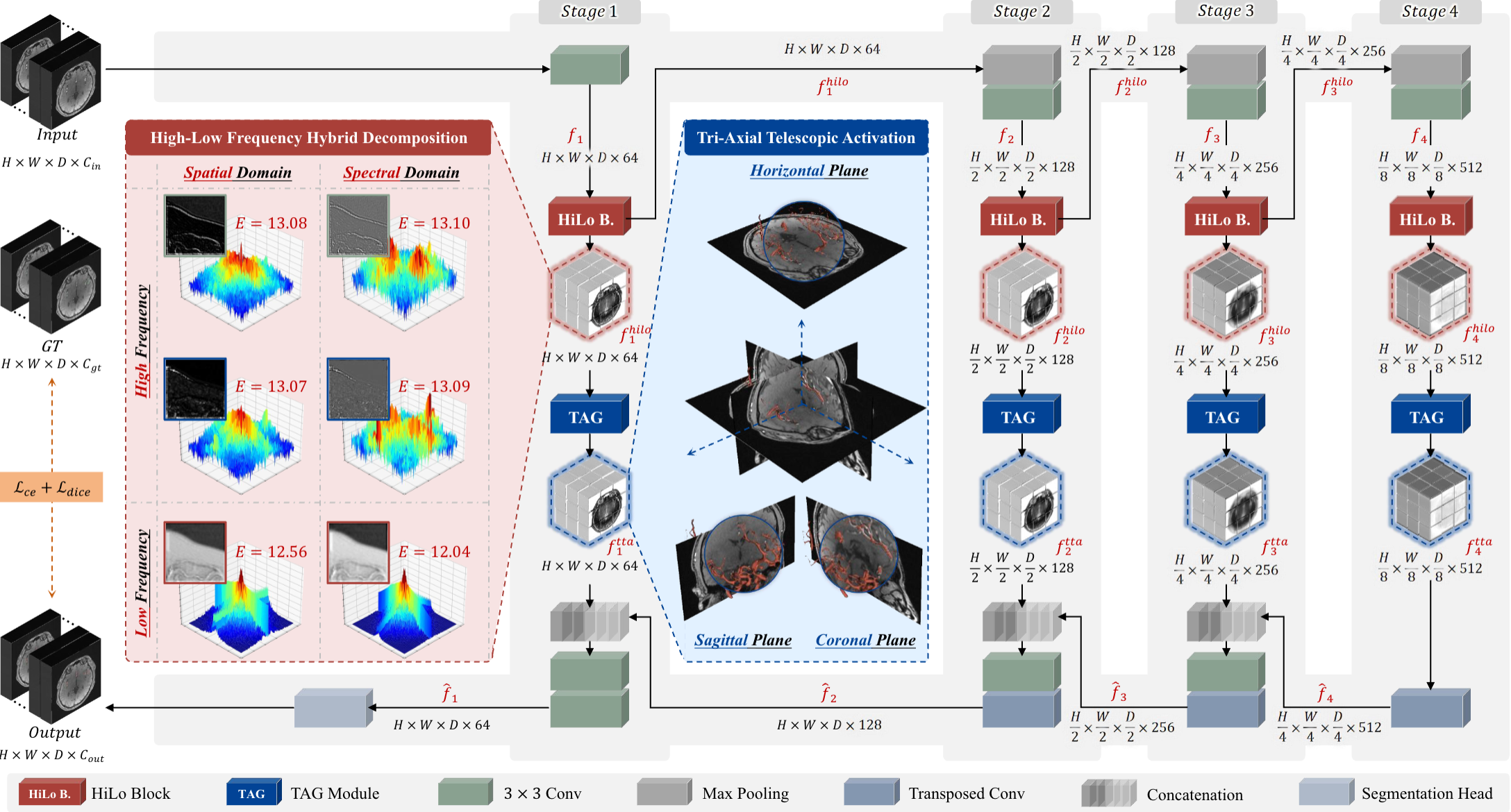HiLo: Spatial-Spectral Hybrid High-Low Frequency Activation for Heart and Brain Vessel Segmentation
